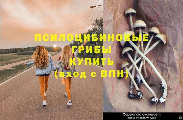 каннабис Абинск