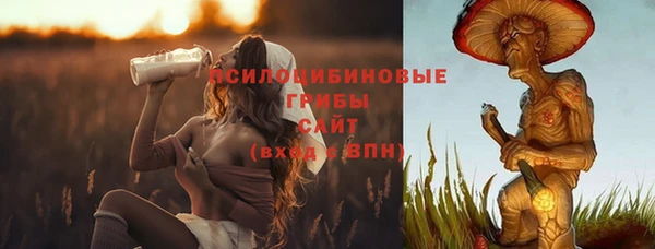 прущий лед Абаза