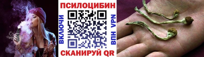 маркетплейс официальный сайт  Янаул  Псилоцибиновые грибы мухоморы 